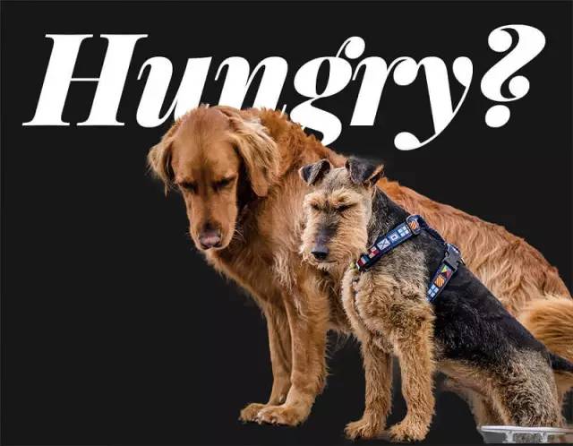 ps抠图出现白边杂边处理方法,ps抠图一共有几种方法