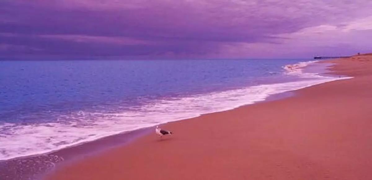 阿联酋免签政策放开,阿联酋免签