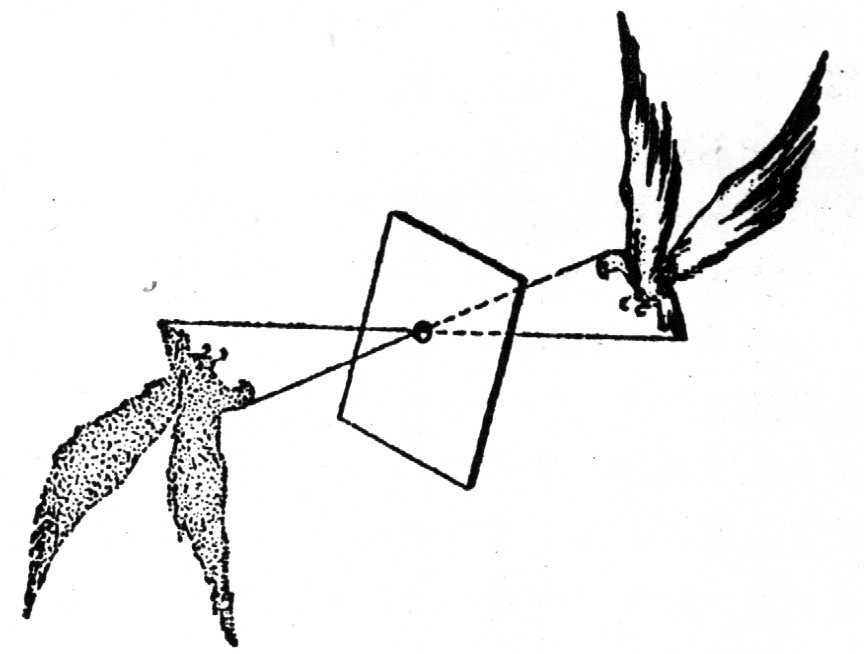 传感器可以清洗吗怎么清洗,传感器清洁步骤