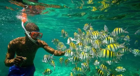 阿联酋免签政策放开,阿联酋免签