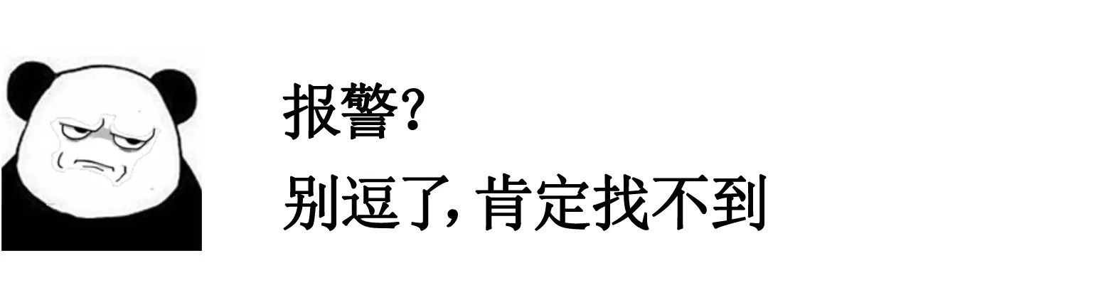 手机丢了报警警察会管吗,手机被盗报警可以追回吗
