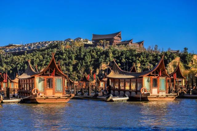 春城秀红嘴鸥图片,春城冬日美景