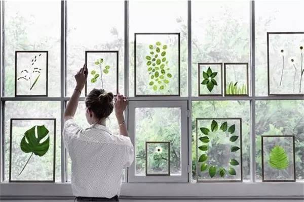 自己在家怎么做植物标本 (秋天如何做植物标本)