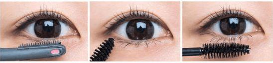 新手如何使用睫毛膏？简单易学