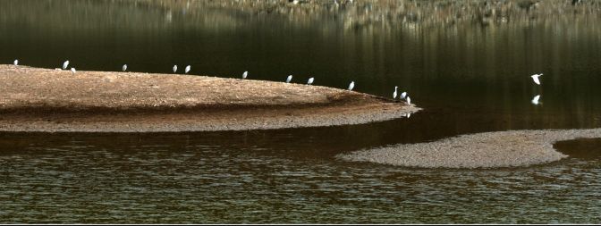 浙江省各地乡村旅游排名,浙江乡村游玩
