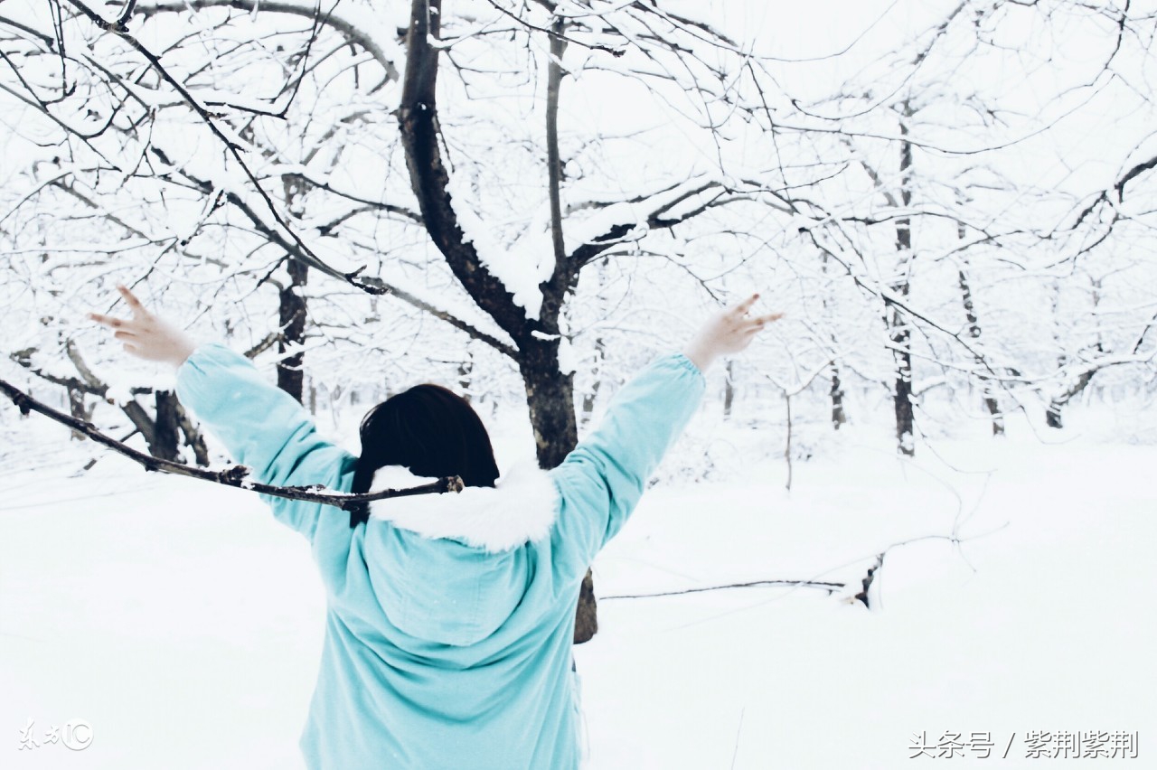 跟团游旅游费用,跟团游国外15天多少钱