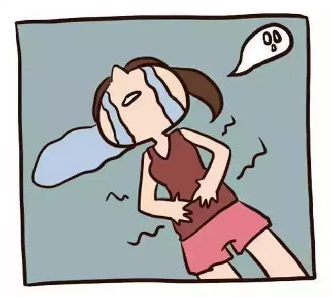 土壤不好适合种什么,土壤不好种植植物