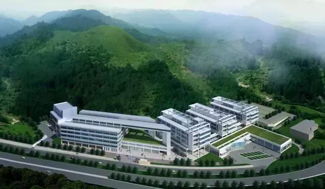 娣卞湷鍏ぇ鍚嶅尰,娣卞湷鍚嶅尰鍚嶅崟