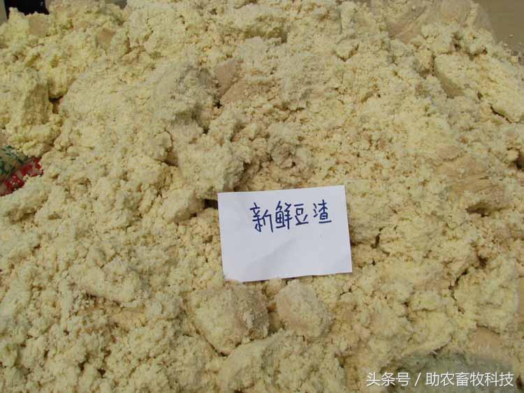 豆渣一吨多少钱,豆渣发酵后多少钱一吨