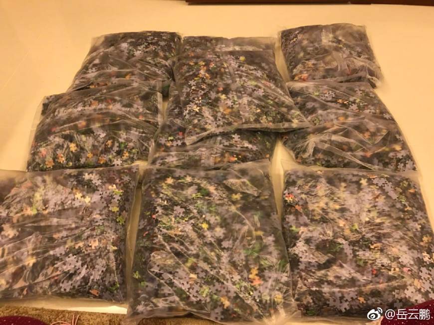 雷佳音送岳云鹏女儿5米拼图,雷佳音送岳云鹏女儿的拼图叫什么