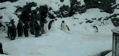 南方人给我听好，下雪了别嘚瑟，敢不敢来场雪地足球？