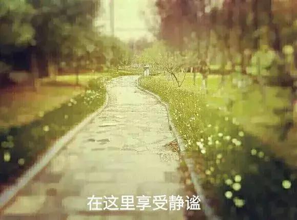 怀念莲塘一中,校园生活莲塘一中