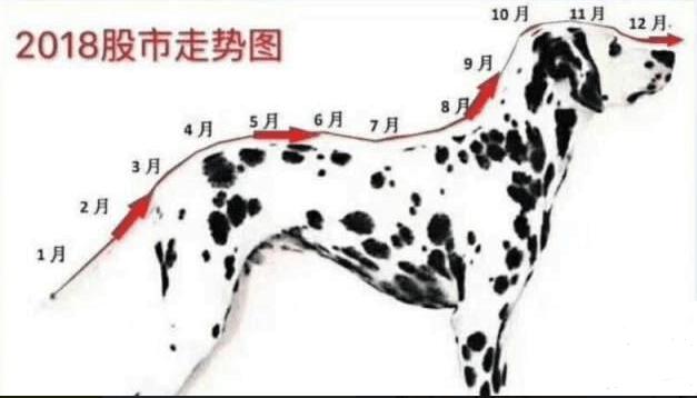 股市大盘午评分析最新消息,股市磨底行情短期反弹进入末端