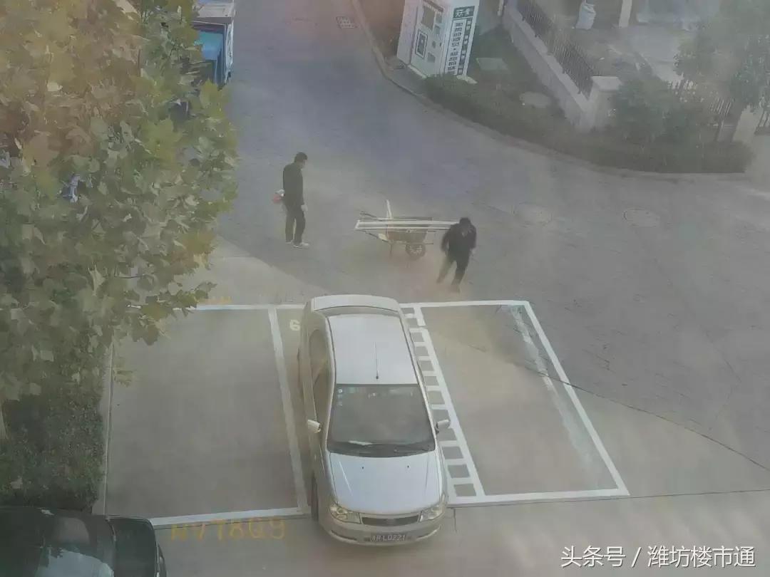 潍坊金御皇廷小区绿化带变车位 (潍坊车位啥时候买合算)