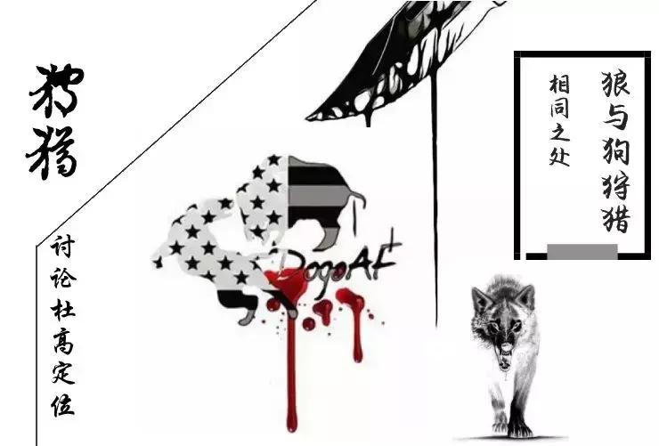 杜高猎犬狩猎野猪视频,狼群vs杜高犬