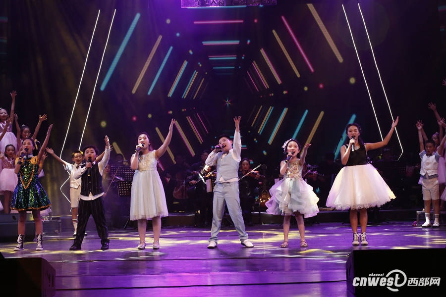 西安小天鹅艺术团怎么样,西安小天鹅艺术团总部电话