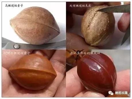 橄榄核雕分铁核和黄核,橄榄核铁核是实心的吗