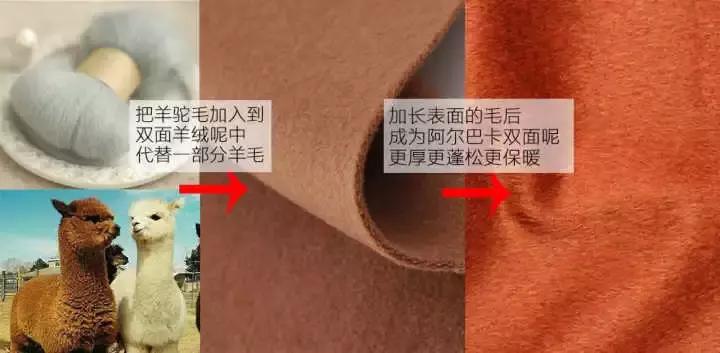 阿尔巴卡是怎么样的,如何区分阿尔巴卡