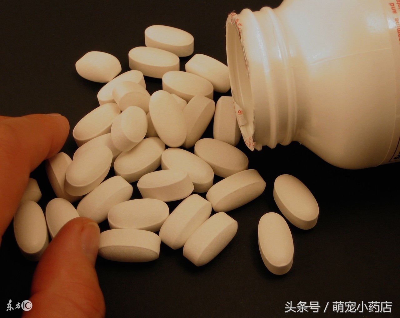 宠物肾衰竭一定要输液吗,宠物医生肾衰竭