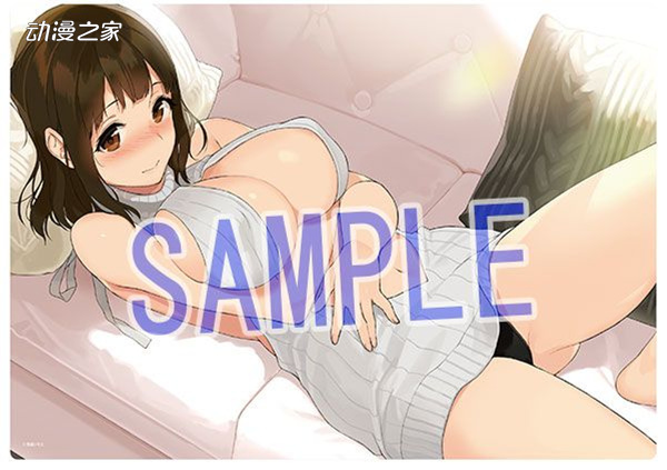 日本绅士们爱看什么?虎穴秋叶原店公开部分漫画年间销量!