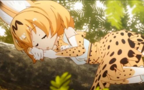 二次元最受欢迎的老婆排名,2018二次元老婆排行