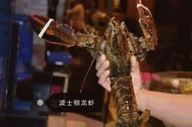 佛冈梦回大唐不夜城美食节,清远佛冈篁胜广场美食节