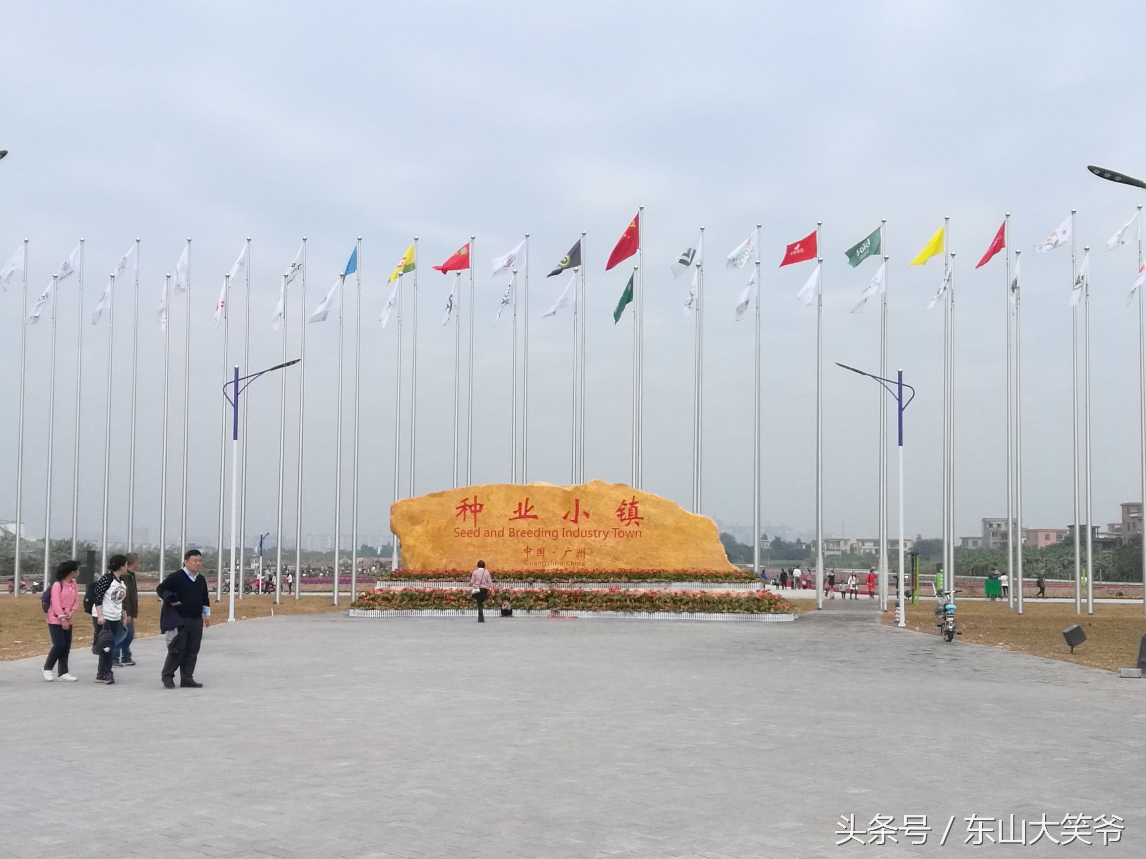 南沙东涌花海,南沙东涌镇风景绝美的地方