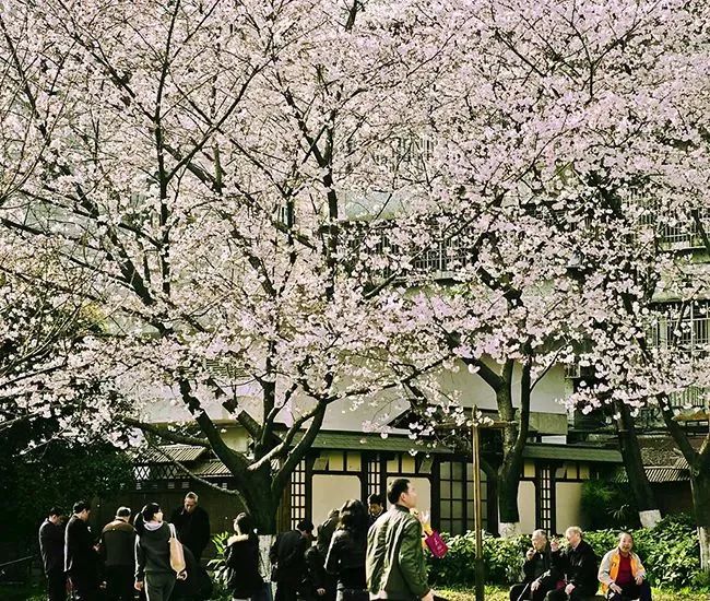 2018年浙江地方景点旅游日历大合集！含杭州，建德，温州，金华！