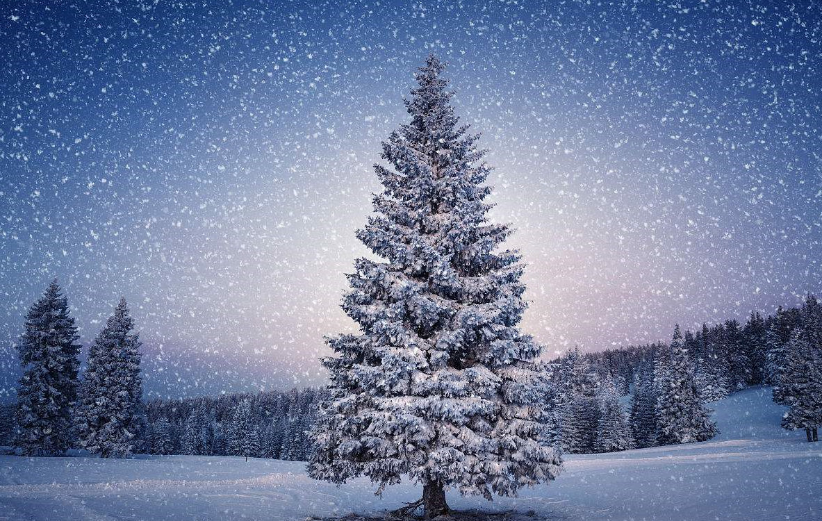 娉版垐灏斿叧浜庨洩鐨勮瘲,娉版垐灏旂殑鏁ｆ枃璇楅洩