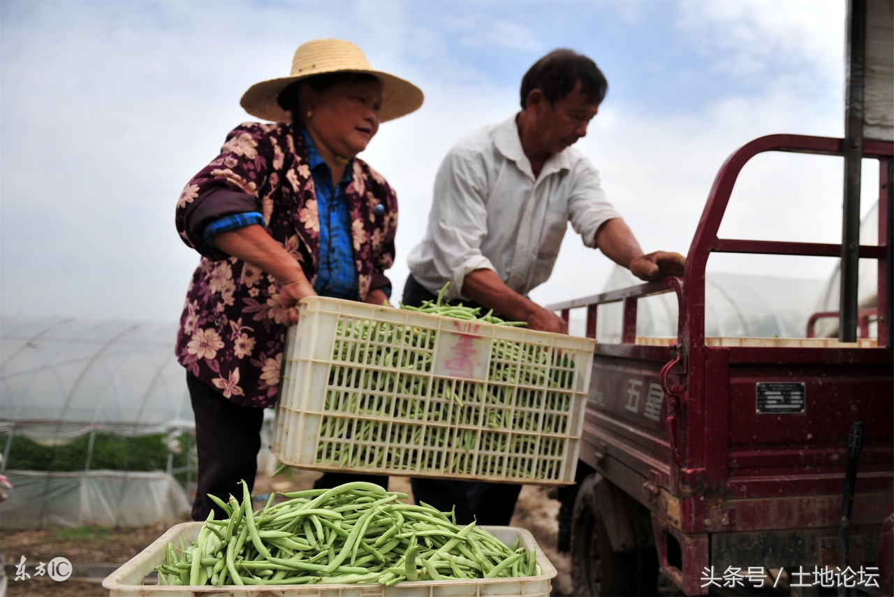 国家鼓励农民创业政策有哪些,国家扶持的农村创业项目和政策