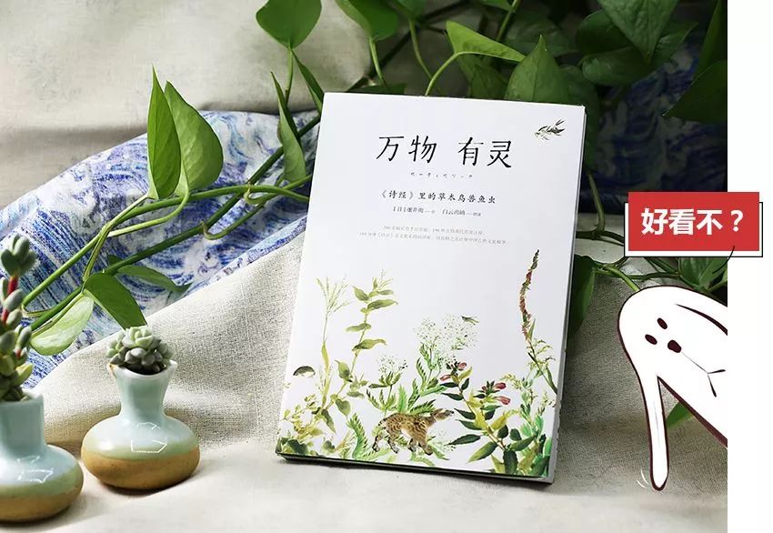 诗经中最唯美的名字,王姓女孩诗经中最唯美的名字