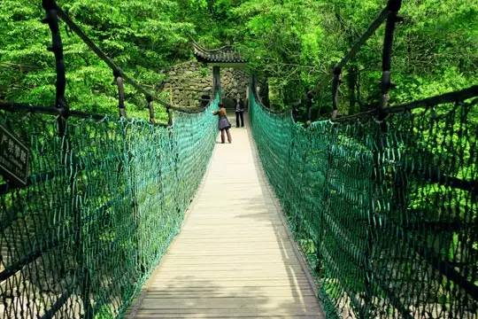 2018年浙江地方景点旅游日历大合集！含杭州，建德，温州，金华！