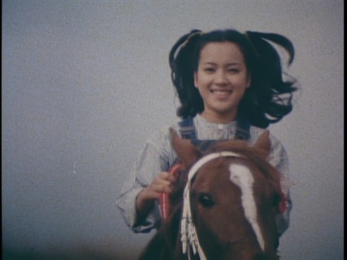 小鹿纯子满满的都是回忆 (小鹿纯子是否还在你的记忆中)