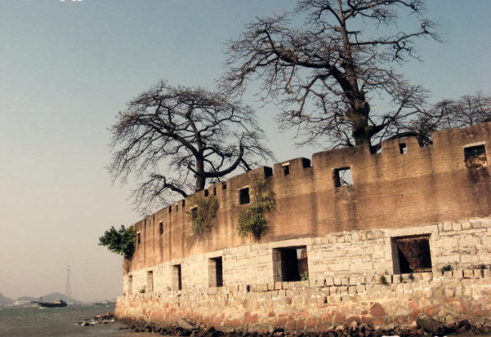 江门小鸟的天堂旅游攻略,江门小鸟天堂附近免费游玩的地方