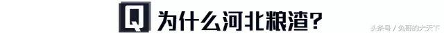 宠粮河北,怎么评价河北宠粮