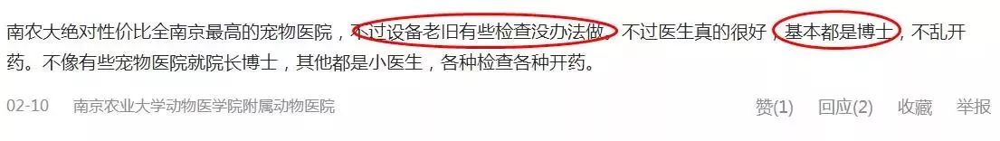 铲屎官宠物诊所,铲屎官宠物医院优惠