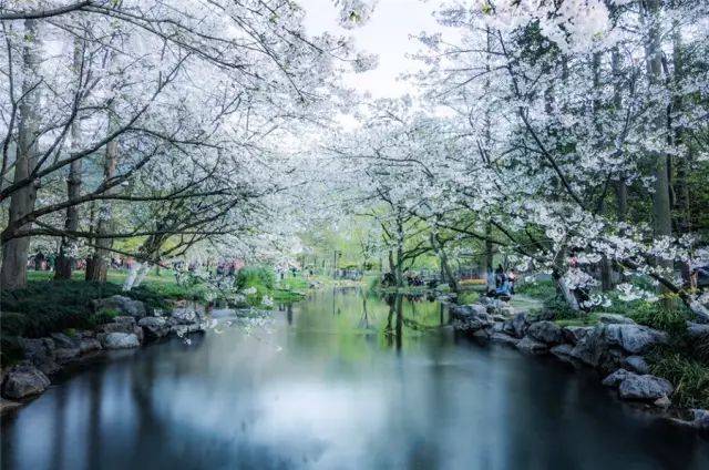 2018年浙江地方景点旅游日历大合集!含杭州,建德,温州,金华!