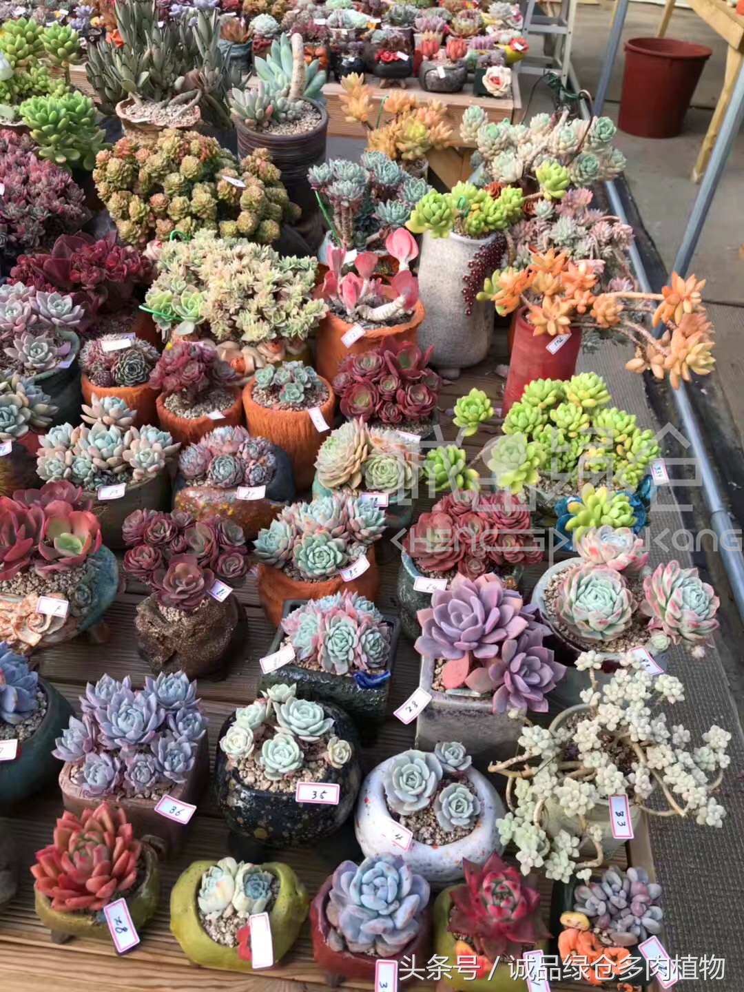 满足你对的所有幻想,满足你对生活所有的想象