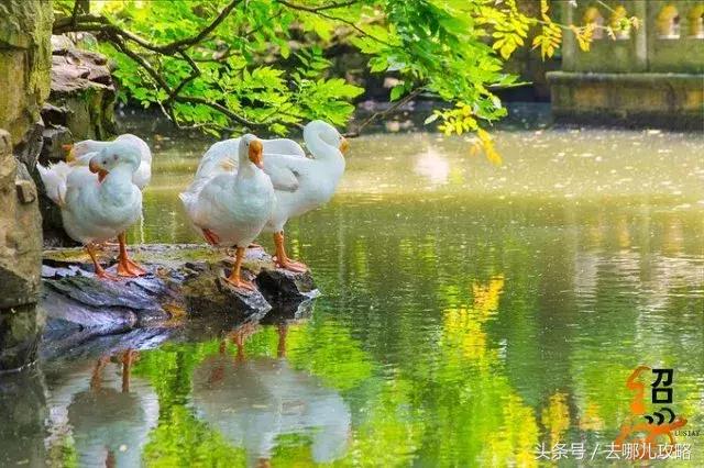 凤凰古城免费旅游攻略,凤凰古城游玩攻略一日游