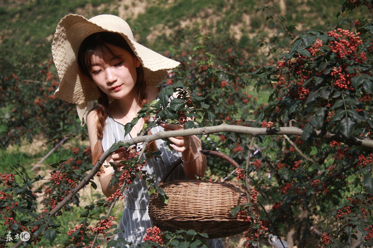 鹿邑吧,鹿邑吧最新视频