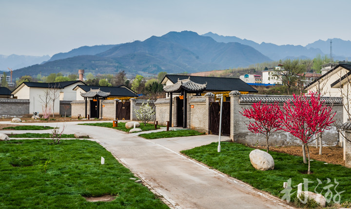 报告老板有几季,报告老板从哪里火的