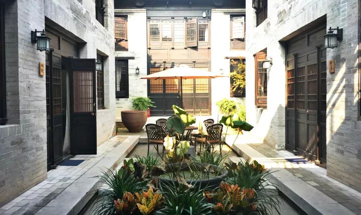 报告老板有几季,报告老板从哪里火的