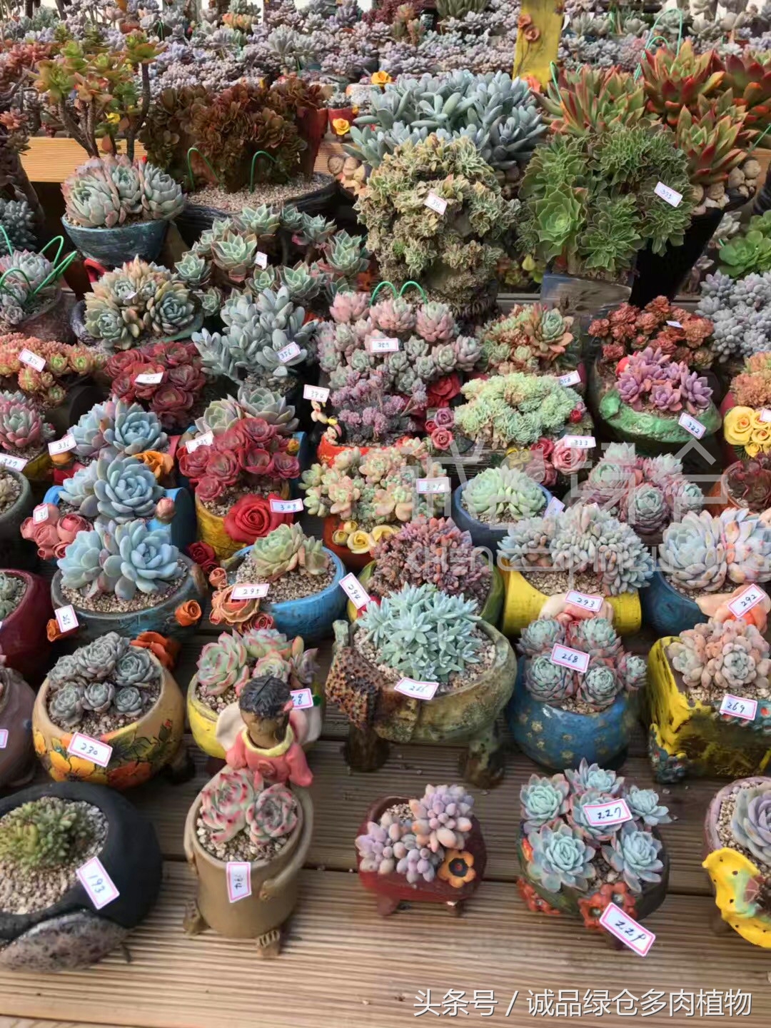 满足你对的所有幻想,满足你对生活所有的想象