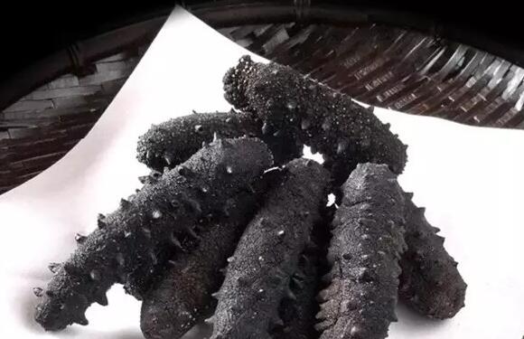 海参也有很多种,全世界所有可以吃的海参