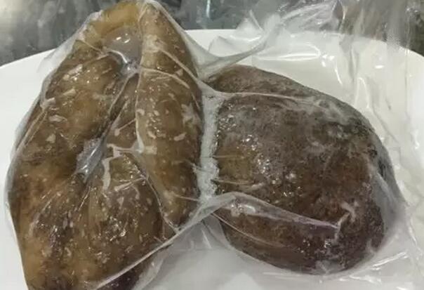 你知道世界上的鱼类有多少个,你知道的海底世界有多少种鱼