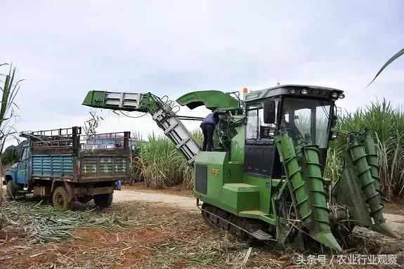 专访｜宜信融资租赁毛芳竹：我们与农户、经销商是“三兄弟”关系