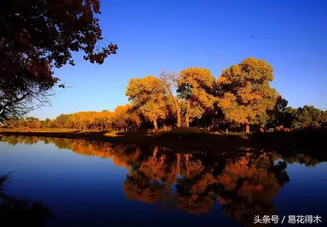 凉州词王之涣台词,王之涣凉州词简介