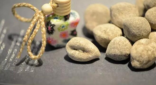 海参有上千种都是一样的吗,全世界海参有多少品种