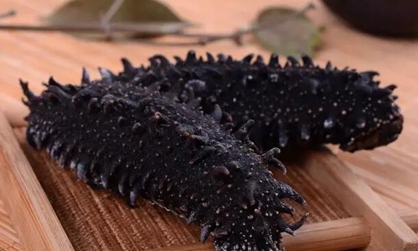 海参也有很多种,全世界所有可以吃的海参