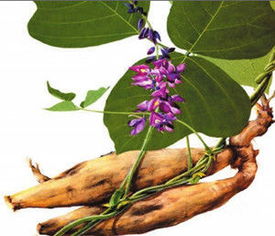 农村五个赚钱行业,农村农民躺着赚钱的项目有哪几个